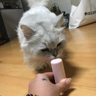 이선희님이 올린 리뷰 사진 1