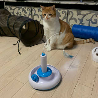 ollie님이 올린 리뷰 사진 1