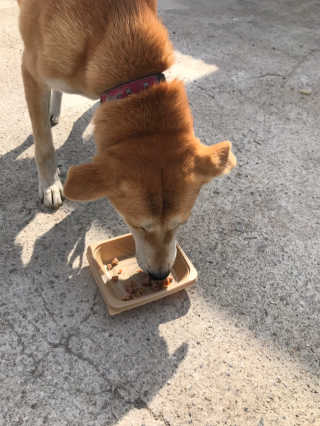 오단비님이 올린 리뷰 사진 3