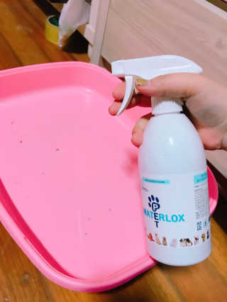 하린님이 올린 리뷰 사진 2