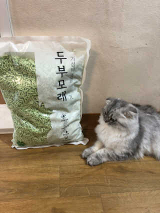 옹란님이 올린 리뷰 사진 1