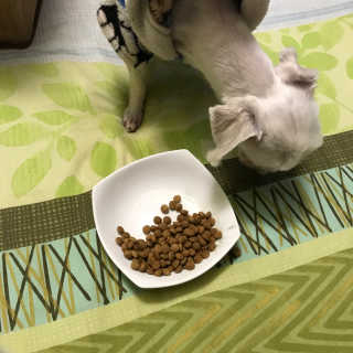 연쥬연쥬님이 올린 리뷰 사진 2