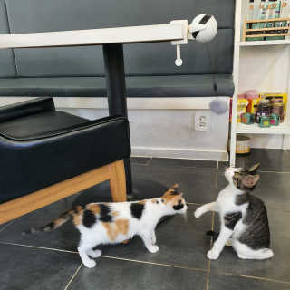 수덩이님이 올린 리뷰 사진 1