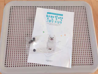 니코니코니님이 올린 리뷰 사진 2
