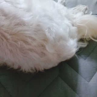 소르님이 올린 리뷰 사진 3