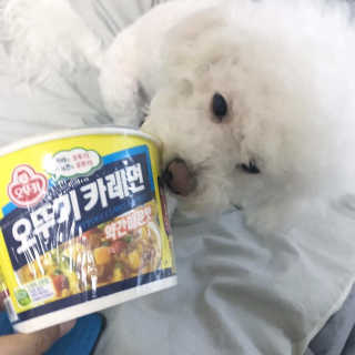 오뚜기카레면 2차 모집 — 5점을 준 리뷰어가 2019년 2월 올린 사용 사진