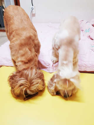 조소민님이 올린 리뷰 사진 2