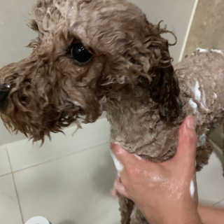 Rani님이 올린 리뷰 사진 1