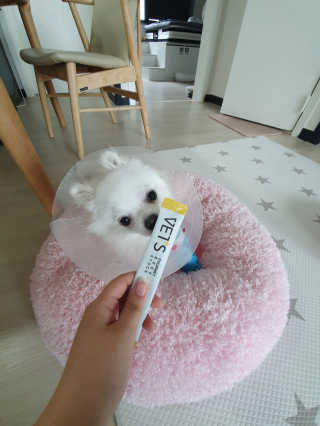 lovetmo님이 올린 리뷰 사진 2