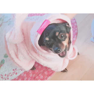 하은Mom❤님이 올린 리뷰 사진 2