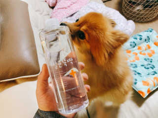 이대현님이 올린 리뷰 사진 4