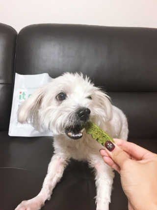 아이린지니님이 올린 리뷰 사진 4