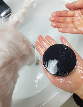 제니님이 올린 리뷰 사진 2