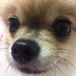 Ariel님이 올린 리뷰 사진 1