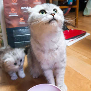 박민하님이 올린 리뷰 사진 4