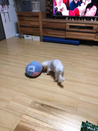김부건님이 올린 리뷰 사진 4