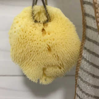 서언미님이 올린 리뷰 사진 3