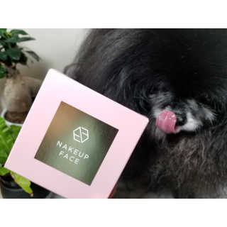 Peepingpomeranian님이 올린 리뷰 사진 2