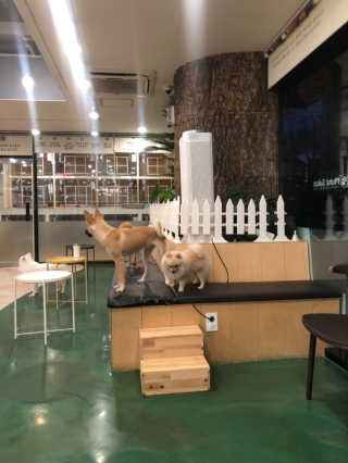 삼백이님이 올린 리뷰 사진 1