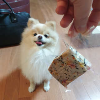 선율님이 올린 리뷰 사진 2