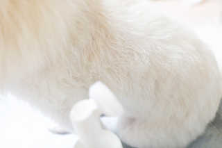 MIMI님이 올린 리뷰 사진 4
