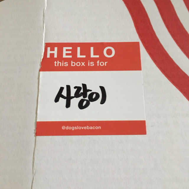 베이컨박스 리뷰 사진