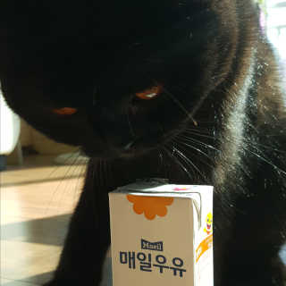 매일우유 멸균 매일우유 저지방 2프로 멸균 핑크퐁 에디션 6입 — 5점을 준 리뷰어가 2018년 1월 올린 사용 사진