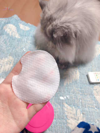 mushroombyjj님이 올린 리뷰 사진 2
