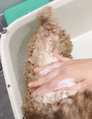 랑이님이 올린 리뷰 사진 3
