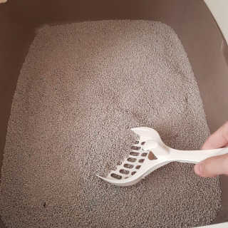 [펫토리아] BEST 한큐뚝딱 고양이 후드형 화장실 — 5점을 준 리뷰어가 2019년 1월 올린 사용 사진