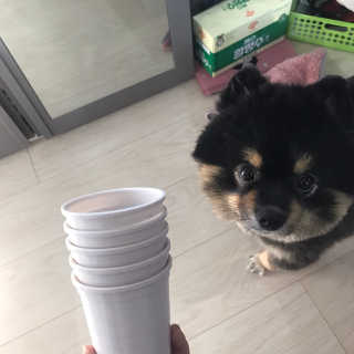 정아님이 올린 리뷰 사진 1