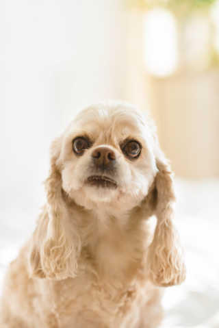SohyeonLee님이 올린 리뷰 사진 4