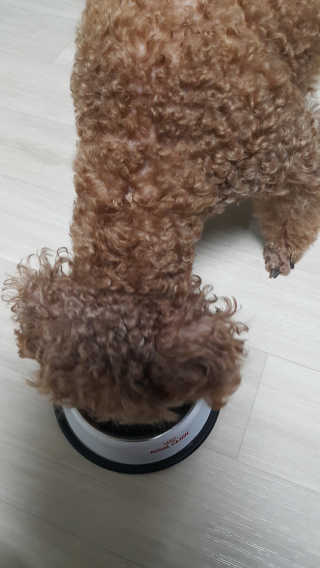 준맘님이 올린 리뷰 사진 2