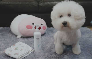 [펫토리아] 뚝딱케어 강아지 고양이 다목적세정제 — 5점을 준 리뷰어가 2020년 2월 올린 사용 사진