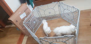 영이님이 올린 리뷰 사진 3