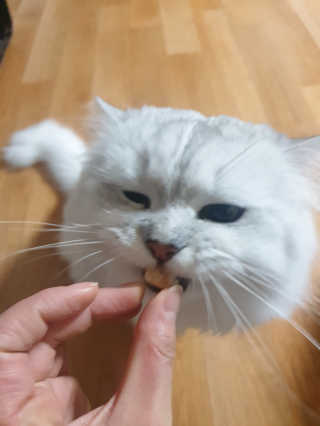 바다의해님이 올린 리뷰 사진 4