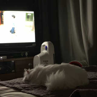 례진님이 올린 리뷰 사진 3