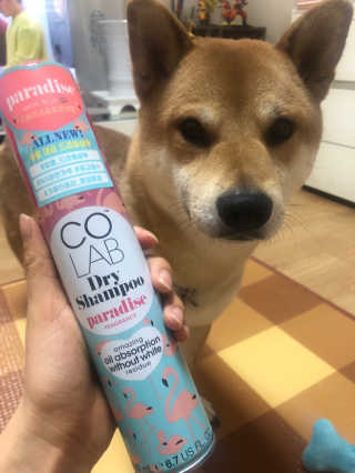 봄봄님이 올린 리뷰 사진 1