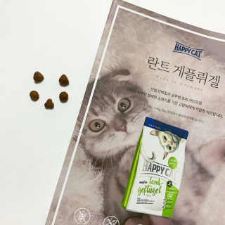 해피캣 해피독 해피캣 란트 게플뤼겔 — 1점을 준 리뷰어가 2020년 1월 올린 사용 사진