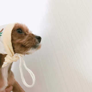 김민선님이 올린 리뷰 사진 2
