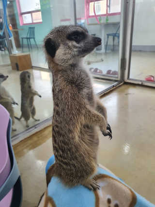 으르렁님이 올린 리뷰 사진 4