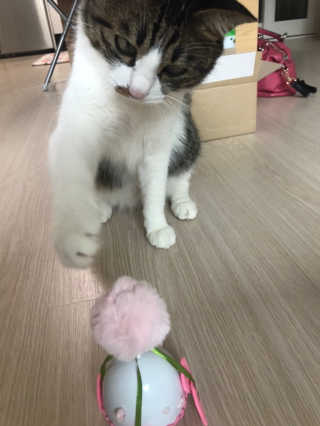 글라라5205님이 올린 리뷰 사진 3