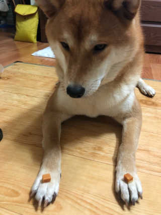 컴백08리터님이 올린 리뷰 사진 3
