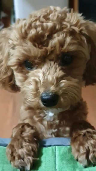 포이로이님이 올린 리뷰 사진 3