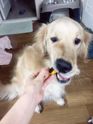 pang2님이 올린 리뷰 사진 3