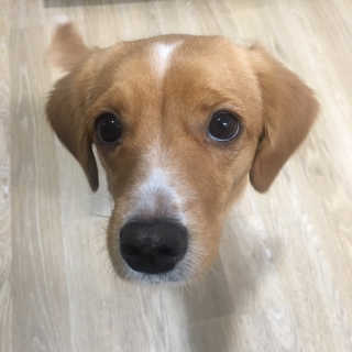 서민정님이 올린 리뷰 사진 3