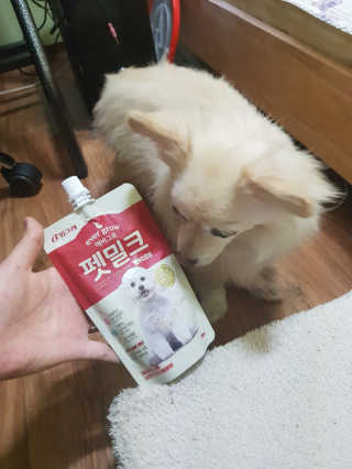 [빙그레] 에버그로 생유산균 1봉（10포입）+펫밀크2팩 — 2.5점을 준 리뷰어가 2019년 5월 올린 사용 사진