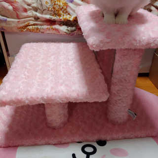 라온시연님이 올린 리뷰 사진 1