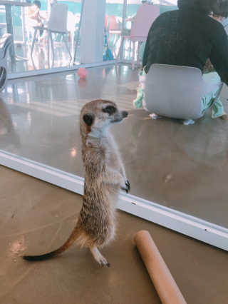 YoonheeSeo님이 올린 리뷰 사진 1