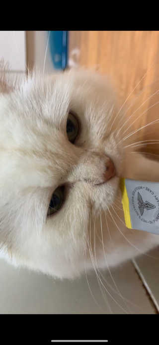 줴줴님이 올린 리뷰 사진 1